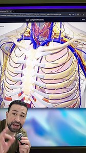 Site bizarro que você precisa conhecer, você vai poder conhecer anatomia do corpo humano com modelos 3D interativos. #anatomiahumana #anatomia #dicasdesites #corpohumano #medicina | Minuto Tech Pro