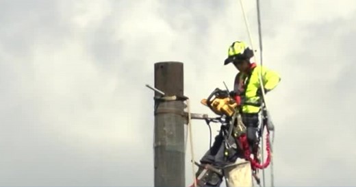 FPL removes last 2 wooden transmission poles in Palm Beach County
