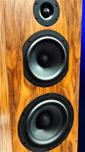 Criton 3TD-X kit build with upgraded Jantzen Amber Z-Caps. CSS-audio.com | Creative Sound Solutions