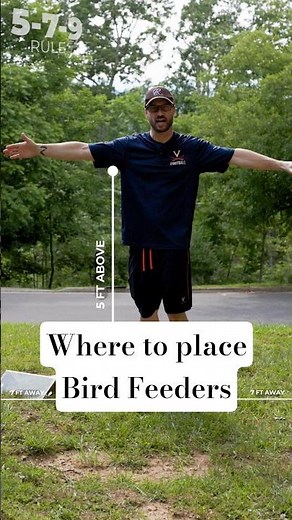 Where to Place Bird Feeders #birdfeeder