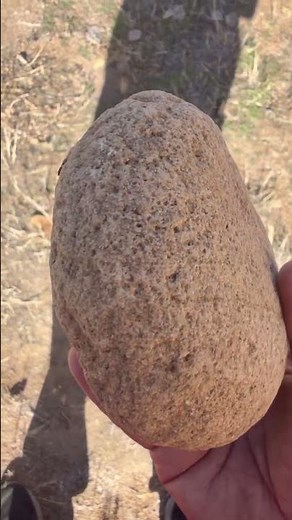 Arkose known as sandstone A type of sedimentary rock#Sandstone #RockCollecting#sedimentary rock