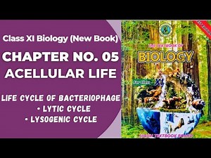 Ch 5 Acellular Life | Life cycle of Bacteriophage | Lytic and lysogenic cycle | Class 11 biology