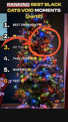 RANKING😂 BEST BLACK CATS VOID MOMENTS (part2)