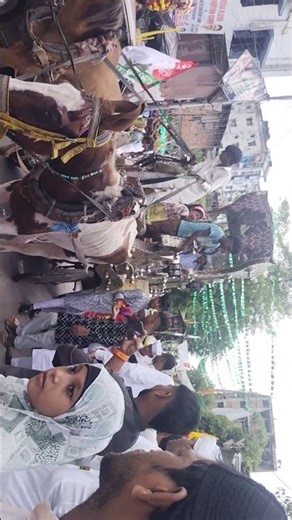 #motivesnal#short#viode