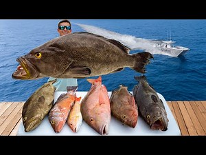 70 Miles OFFSHORE in America's BEST Fishery! Catch Clean Cook (Scamp Grouper)