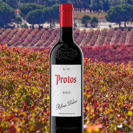 Protos Roble - Bodegas Protos