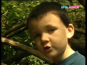 Teletubbies Nascondino