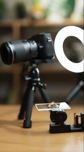 🤯 1000X Zoom: SHOCKING Creatures Living On Your Skin! (You Won't Believe This)