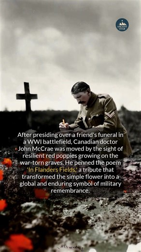 173K views · 5.3K reactions | A simple red flower became a worldwide symbol of military sacrifice after World War I. | Ancient Star | Facebook