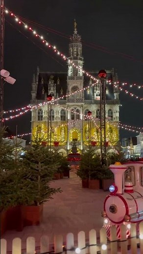 Christmas Lights at Oudenaarde City Hall ✨ Belgium