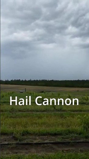 Hail Cannon - One Of The Craziest Things I've Ever Heard