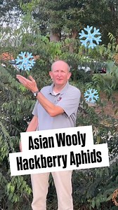 15K views · 260 reactions | ❄️Snowflakes in September? You’re...