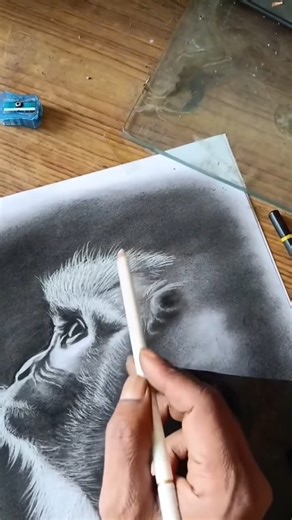 Monkey sketch #monkey #sketch #art #ytshorts #shorts