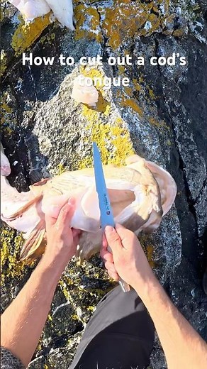 How to cut out a cod’s tongue! My absolute favourite cut!