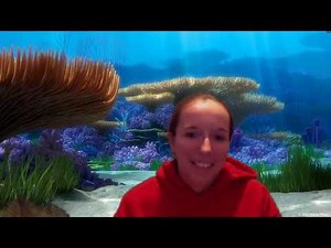 The Lemonade Crime--Chapter 4 Read Aloud by Mrs. Wells