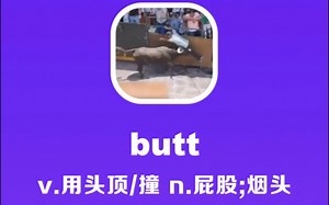 butt：用头顶/撞；屁股；烟头_哔哩哔哩_bilibili