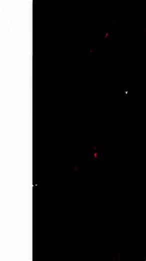 #CapCut @Melania Codan @Melania Codan