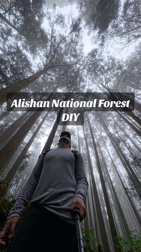 Your ultimate guide for Alishan Nat’l Forest DIY with travel expenses. 📍Alishan National Forest, Chiayi Ximending to Taipei Main Station * From Ximending take the blue line going to Taipei Main station * Travel Time: 2 mins * Payment Method: easy-card * Expense: NT$16 one way Taipei Main Station to Taipei HSR Station * From Taipei Main Station transfer to HSR and claim the ticket from the booth * Earliest HSR Trip: 6:26 AM Taipei HSR Station to Chiayi HSR Station * Exit 2 (Chiayi HSR Station) a