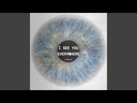 I See You Everywhere