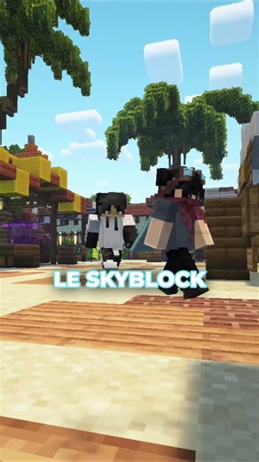 ⬆️ Rejoins le Discord en bio - La raison qui m'a fait créer un serveur minecraft