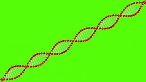 Exploration Dna Double Helix Model Highlighting Stock Footage Video (100% Royalty-free) 3822755263 | Shutterstock