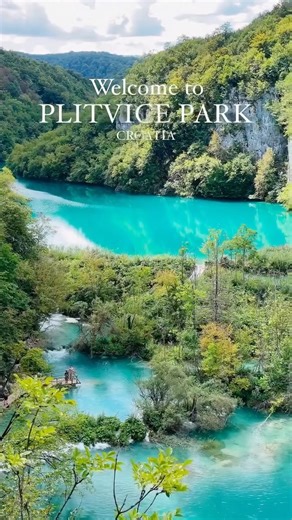 24K views · 246 reactions | Stepping into the enchanted forest of...