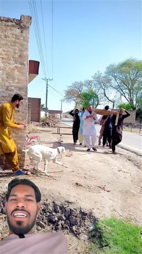#shots Wait For Dog 🐕😄#funny #youtubeshortsvideo #comedy #viral #video #comedyvideo #funnymemes