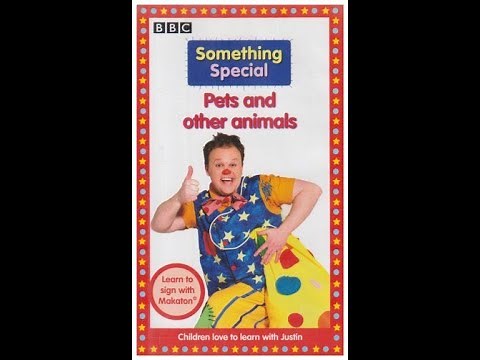 Something Special - Pets And Other Animals UK VHS (2005)