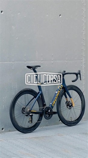 Custom Pinarello Dogma F Q36.5 custom by Cicli Corsa — built your way #shorts #pinarello