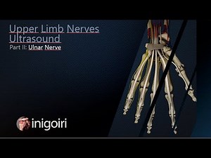 Ulnar Nerve Ultrasound • Video • MEDtube.net