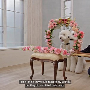 "You can't take a good shot unless the pet is having fun." Capture and share your pet's personality with Akiyo Ogawa's petography tutorials today 📸 | Adobe Creative Cloud