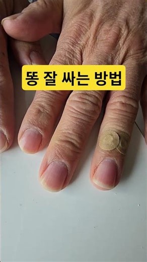 똥 잘 싸는 방법 feat 크루즈 여행 중
