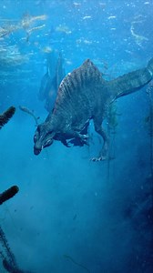 Spinosaurus, an intriguing dinosaur from the Cretaceous period, is believed to have been a proficient swimmer in shallow waters rather than the open sea. Its skeletal adaptations, such as its elongated snout and conical teeth, suggest a diet focused on fish and aquatic prey. Spinosaurus’ partially webbed feet and streamlined body made it well-suited for navigating rivers and swamps, indicating that it primarily inhabited inland waterways. This specialization in shallow-water environments sets Sp