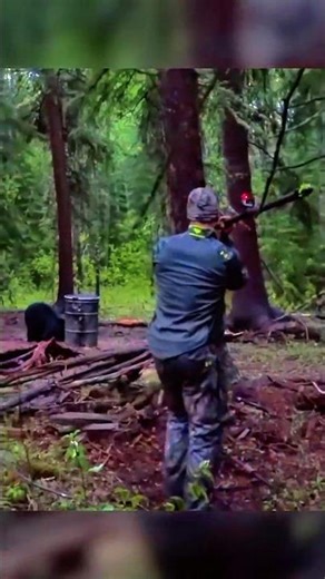 bear hunting with spear on the ground #bear #hunting #bearhunting