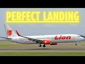 7 Minutes of Perfect landing a Pilot's Mastery in Action Review #airplanelanding