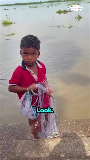 Watch out! This seven-year-old little boy knows how to throw a fishing net to catch fish! 🎣👦 #worldcountrysidelifevlog #FishingProdigy #KidsLoveFishing #FishingSkills DISCLAIMER NO COPYRIGHT INFRINGEMENT INTENDED | World Countryside Life Vlog