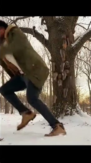 KITTY COMEDY Pt. 9 Crazy Squirrels