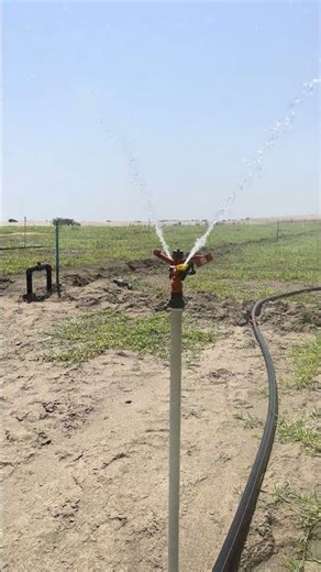 sprinkler irrigation system #sprinkler #irrigation #agriculture #shorts #youtubeshorts