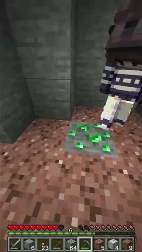 We accidentaly recreated the viral clip #minecraft #funny #meme