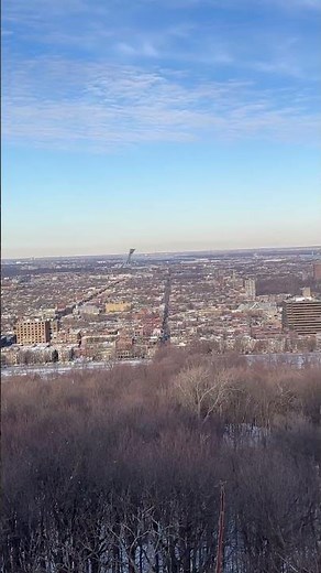 Montreal Skyline from Mount Royal 🌆 | Winter 4K #Shorts