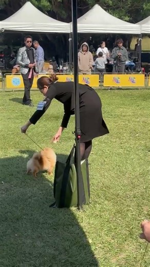 260322 CHIAO LI YA (The first post.)