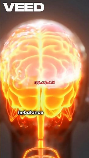 The Human Brain Explained in 1 Minute | Easy Science for Students 🧠