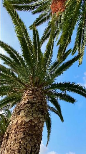 Kalimera GREECE 🇬🇷