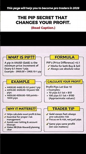 Most Beginners Get This Wrong About Pips.