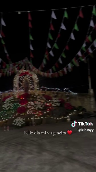 Mañanitas a la Virgen de Guadalupe 💚 #virgendeguadalupe #12dediciembre #catholic #foryoupage