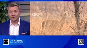 Follow these essential deer hunting safety tips