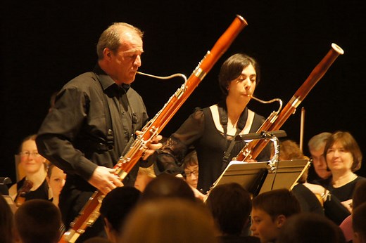 Guía Práctica de Fagot: Historia, Partes, Cómo Tocar, Mantenimiento y Más