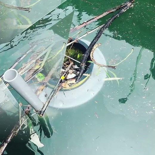 海洋浮遊ゴミ回収機SEABIN