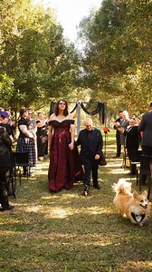 It was all love and style goals from Jace and Chloe’s big day 💍 Congratulations to this incredible couple — we’re honoured to have been part of it. #ShaneAve #QueerLove #LoveIsLove #QueerWeddings #AuthenticStyle #DapperAndProud #WeddingInspo 📷 @landon_smith_photography @inanis_ex_machina | SHANE Ave.