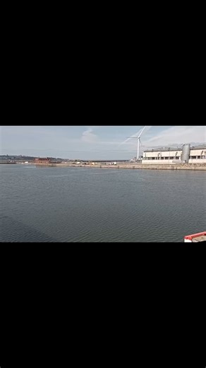 El Everton estrenó su nuevo estadio con una victoria ante el Brighton, en este video vemos como fue el proceso de construcción desde el 2021. Mirá el pedazo de estadio que crearon los rivales de ciudad del Liverpool.. | Gol Garra